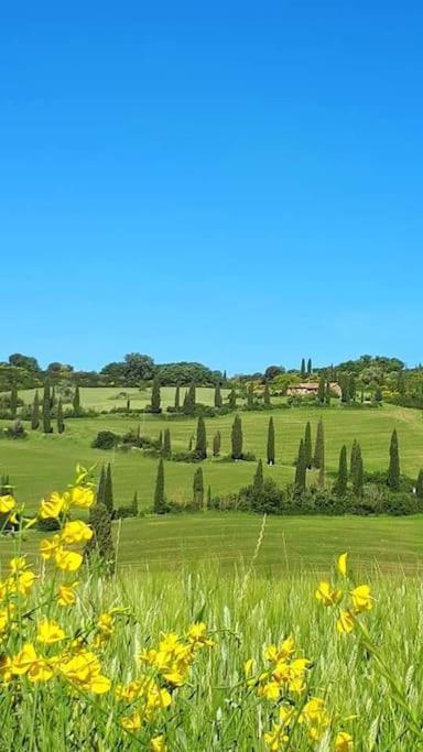 Villa Marta Contignano エクステリア 写真